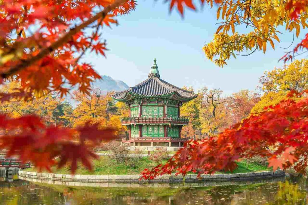 紅葉が美しい中に佇む韓国の古典的な宮殿